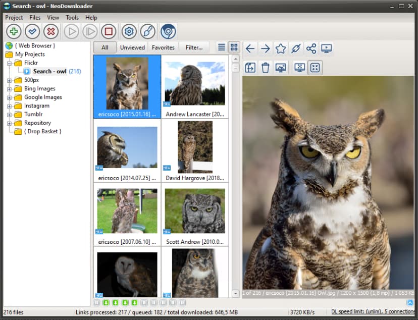 Downloaded Flickr photos with smart file names