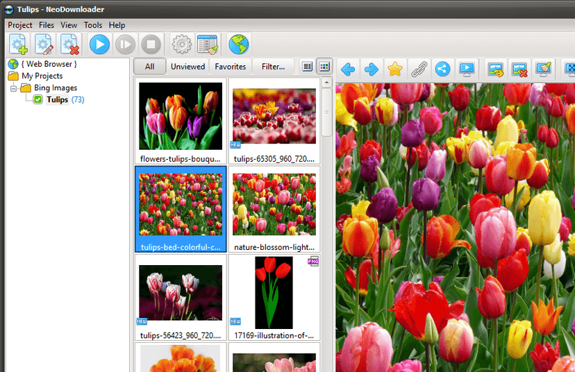 Downloaded images with built-in preview