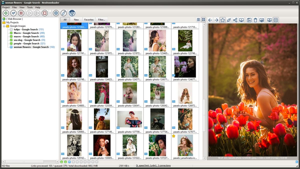 Pinterest image downloader - download pictures and videos from Pinterest boards