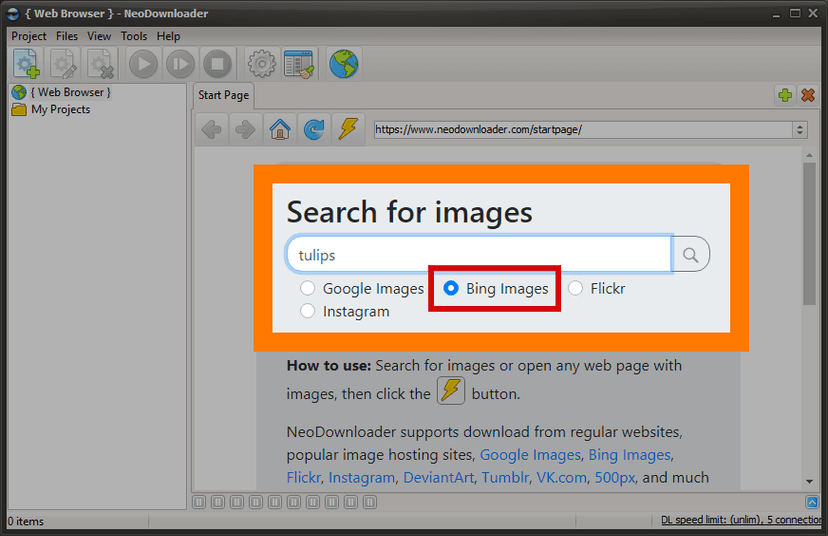 NeoDownloader search interface with Bing Images selected